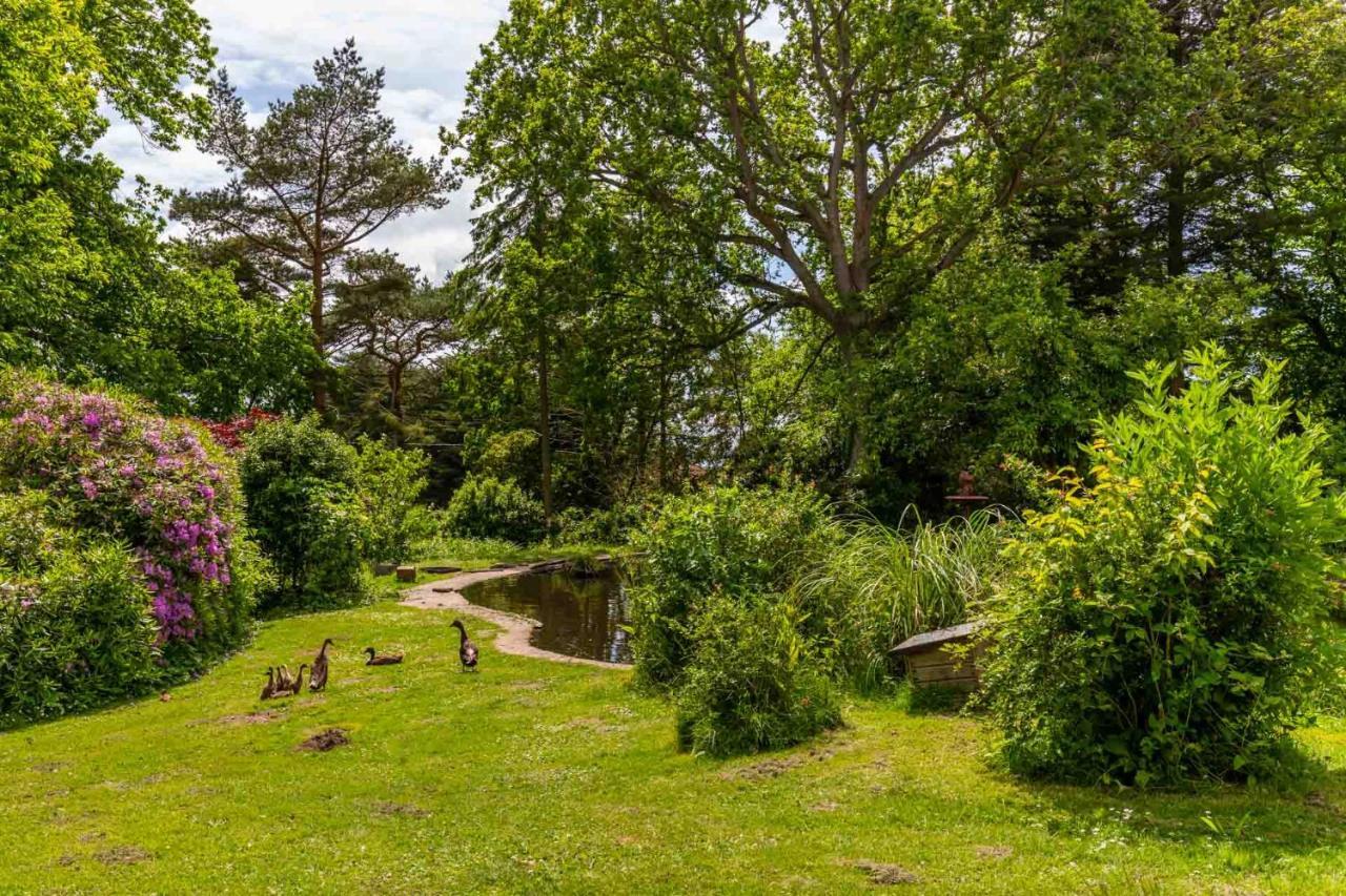 Host & Stay - The Eiders Aylmerton Exterior foto